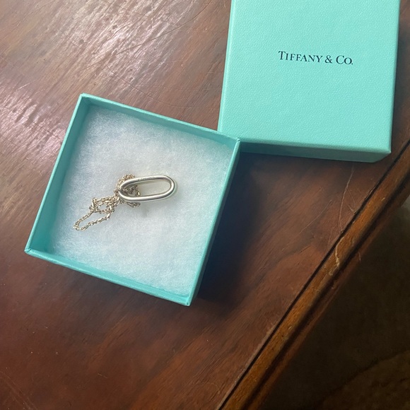 Authentic Tiffany & Co 1837. 925 Sterling Silver 1” oval pendant on 18” chain. - Picture 15 of 16